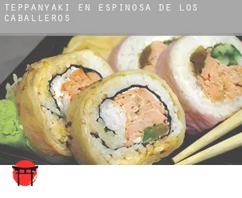 Teppanyaki en  Espinosa de los Caballeros