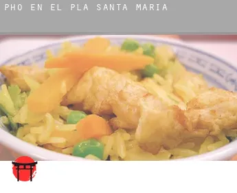 Pho en  El Pla de Santa Maria