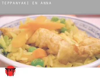 Teppanyaki en  Anna