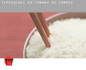 Teppanyaki en  Támara de Campos