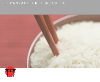Teppanyaki en  Fortanete