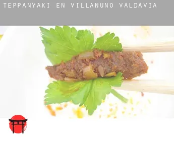 Teppanyaki en  Villanuño de Valdavia