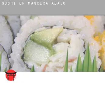 Sushi en  Mancera de Abajo