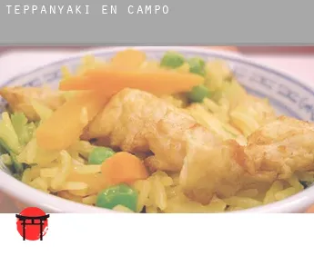 Teppanyaki en  Campo